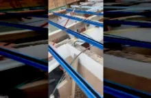 Pracownik miesiąca...