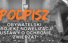 Gdzie zbieramy podpisy Prawa dla zwierząt