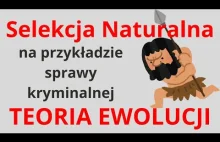 Selekcja naturalna, teoria ewolucji