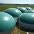 Polacy budują swoją pierwszą biogazownię nieopodal Pułtuska