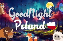 Goodnight Poland: Film animowany, który stworzyłam w całości dzięki AI