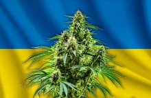 Parlament Ukrainy zatwierdza projekt ustawy o legalizacji medycznej marihuany