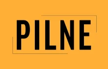 Byli dyrektorzy Lasów Państwowych zatrzymani