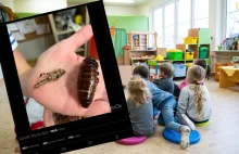 Dzieci dostały w przedszkolu robaki do zjedzenia. Internauci oburzeni.
