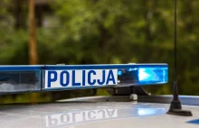 Dwie dziewczynki w szpitalu po atakach psów w typie amstaffa. Policja: To po pro