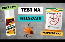 Kleszcze TEST - mugga deet vs. permetryna