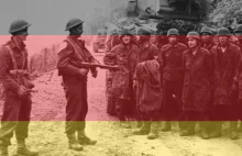 Gdy telewizja RFN oskarżyła Polaków o mordowanie jeńców po zajęciu Monte Cassino