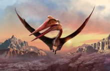 Quetzalcoatl to największe latające stworzenie w historii. Był rozmiarów żyrafy