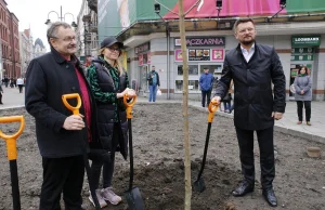 Katowice: Głos przeciwko "odbrukowywaniu" placów miejskich. Antyantybetonoza?