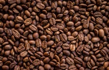 Jak kawa wpływa na nasze zdrowie? Obalamy siedem popularnych mitów