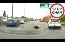 Wypadek z dzikami na trasie Siekierkowskiej w Warszawie