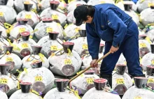 Tuńczyk kupiony za miliony. Niedzielna aukcja nie zawiodła