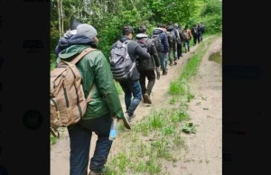 133 próby nielegalnego dostania się do Polski