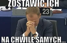 Wyborcy KO chcą Polski bez Ukraińców. Zaskakujące wyniki badań