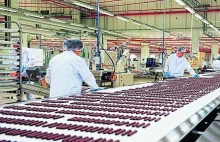 Wolne piątki, więcej urlopów za pieniądze od państwa. Rusza eksperyment.