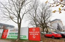 Dąb był pomnikiem przyrody kilka tygodni - przeszkadza deweloperowi