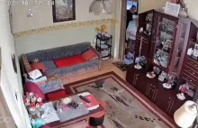 Okrada starsze osoby, pomóżmy w identyfikacji złodzieja.