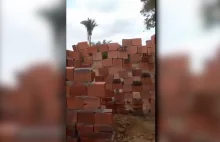 Inżynierzy zrobili interesującą budowlę z cegły
