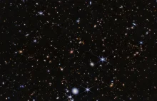 Webb odkrywa nowe galaktyki w polu protogromady Pajęczej Sieci