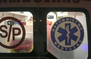 Interpol wsadził Szopę do rejsowego samolotu. Nagranie z konwoju