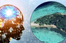 To pierwsze na świecie "państwo", gdzie rządzi AI. Decyduje o wszystkim