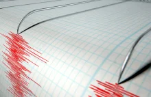 Trzęsienie ziemi o magnitudzie 4,8 wstrząsnęło Nowym Jorkiem (VIDEO) - New York