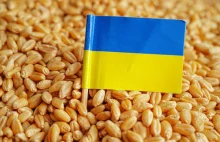 Financial Times: EU prepares emergency curbs on grain imports from Ukraine.