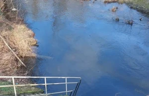 Skażona rzeka dopływająca do Warty. Interweniowali strażacy