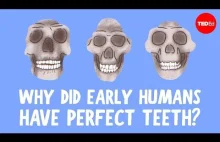 Starożytni mieli proste zęby, dlaczego ludzie współcześni noszą aparaty?