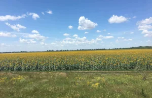 Interesy gospodarek rolnych Polski i Ukrainy nie będą sprzyjały współpracy.