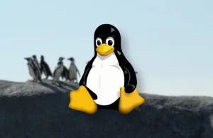 Linux przekroczył 4% globalnego udziału na pecetach