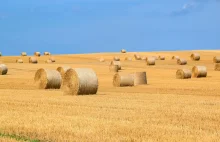 Możliwości Zakupu Działki Rolnej w Polsce