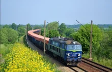 PKP Cargo rozpoczyna zwolnienia grupowe