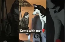 @tosiewypika Come with me