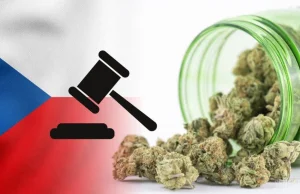 Czechy: Projekt legalizacji marihuany dla dorosłych ma zostać przedstawiony w