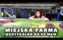 Miejska farma wertykalna na 40 mkw.