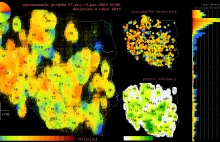 Gdzie na grzyby? Zobacz mapę