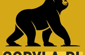 Goryla.pl ruszyła! Allegro zagrożone!