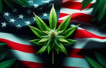 Liczba pacjentów medycznej marihuany w USA wzrosła o 610% od 2016