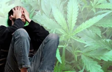 Konwergencja marihuany i psychozy w układzie dopaminowym [ENG]
