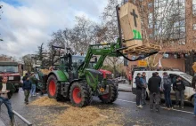 Francja: Protesty rolników protesty przeciw niskim cenom skupu