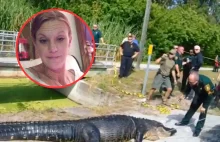 Aligator pożarł kobietę.
