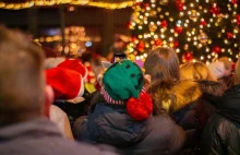 Szkocki rozmach na święta: 24 tys. światełek, 6 tygodni pracy. Ta iluminacja imp