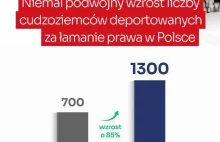 Rz: Niemal dwukrotny wzrost liczby deportacji cudzoziemców z Polski. Głównie Gru