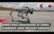 Uzbrojone chińskie roboty z bronią już biorą udział w manewrach.