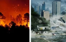 Jak rynki akcji reagują na katastrofy naturalne?