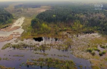 Mułowiska - mokradła niebędące torfowiskami