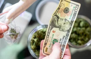 Michigan: Sprzedaż marihuany w 2023 roku przekroczyła 3 miliardy dolarów