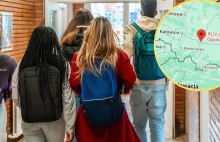 Dyrektor liceum kazał ogolić głowę uczniowi. "Bez dyskusji"