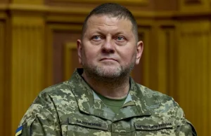 Naczelny dowódca Ukrainy nie zrezygnuje. Szczegóły spotkania z Zełenskim